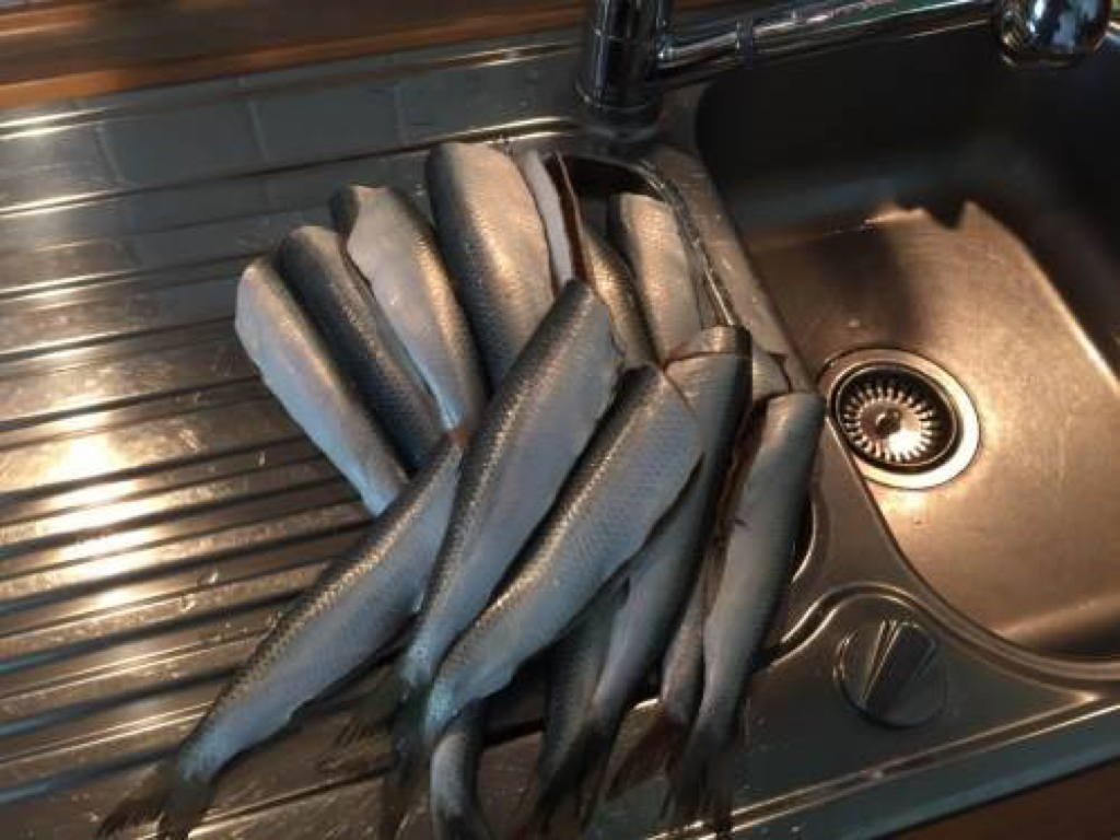 Marinated fried herring