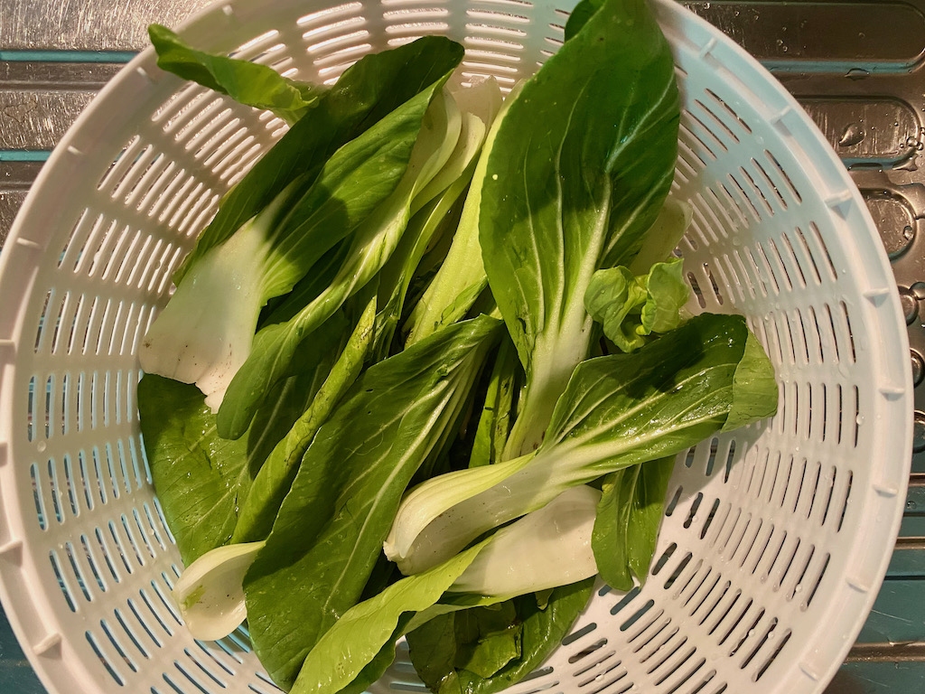 Pak Choi